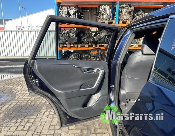 Door TOYOTA RAV 4 V (_A5_, _H5_)