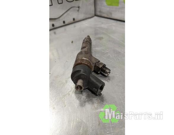 Injector Nozzle PEUGEOT BOXER Platform/Chassis (244)