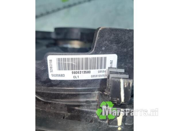 Radiator Electric Fan  Motor PEUGEOT 3008 SUV (MC_, MR_, MJ_, M4_)