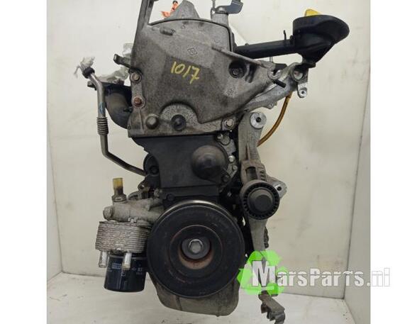 Motor kaal RENAULT CLIO III (BR0/1, CR0/1)