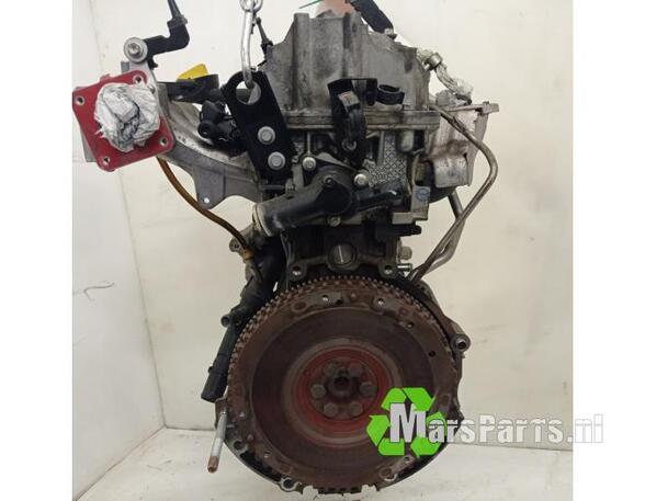 Motor kaal RENAULT CLIO III (BR0/1, CR0/1)