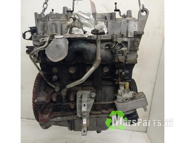 Motor kaal RENAULT CLIO III (BR0/1, CR0/1)