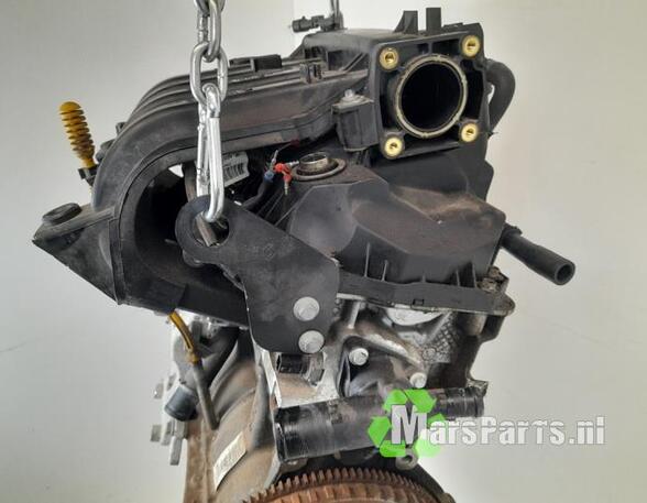 Bare Engine RENAULT TWINGO II (CN0_)