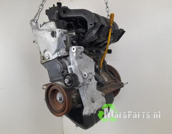 Motor kaal RENAULT TWINGO II (CN0_)