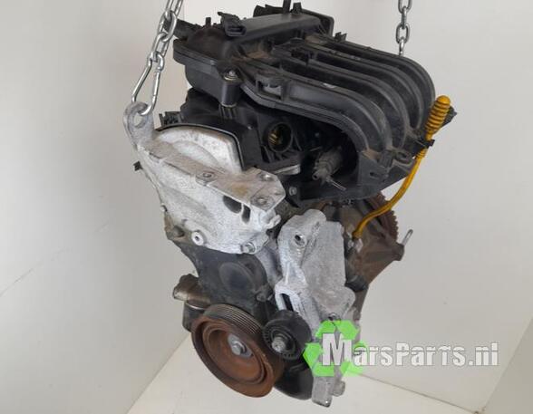 Motor kaal RENAULT TWINGO II (CN0_)