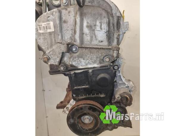 Motor kaal RENAULT CLIO III (BR0/1, CR0/1)