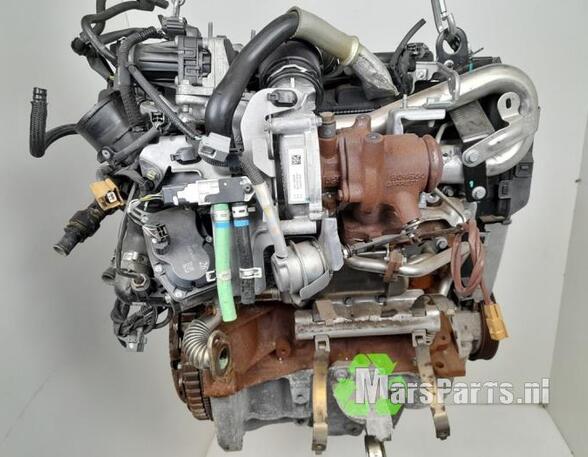 Motor kaal RENAULT CLIO III (BR0/1, CR0/1), RENAULT CLIO IV (BH_)