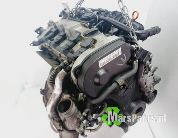 Bare Engine AUDI A4 (8EC, B7)