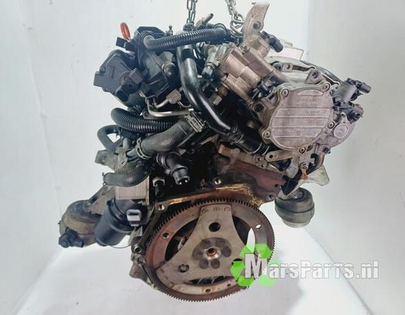 Bare Engine AUDI A4 (8EC, B7)