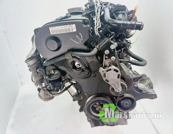 Bare Engine AUDI A4 (8EC, B7)