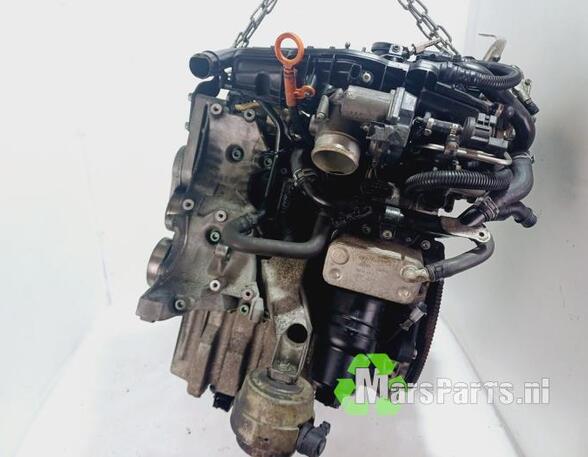 Bare Engine AUDI A4 (8EC, B7)