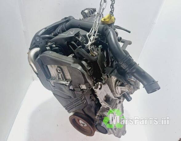 Bare Engine RENAULT CLIO III (BR0/1, CR0/1)