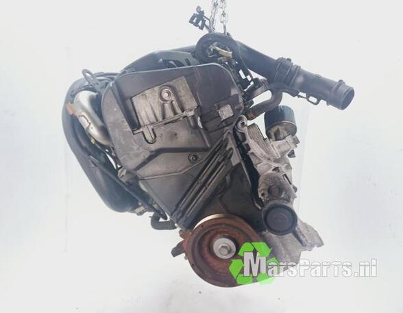 Bare Engine RENAULT CLIO III (BR0/1, CR0/1)