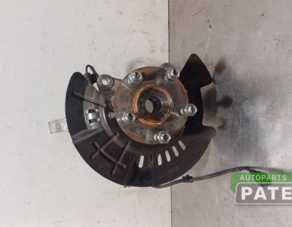 Stub Axle KIA NIRO I (DE)