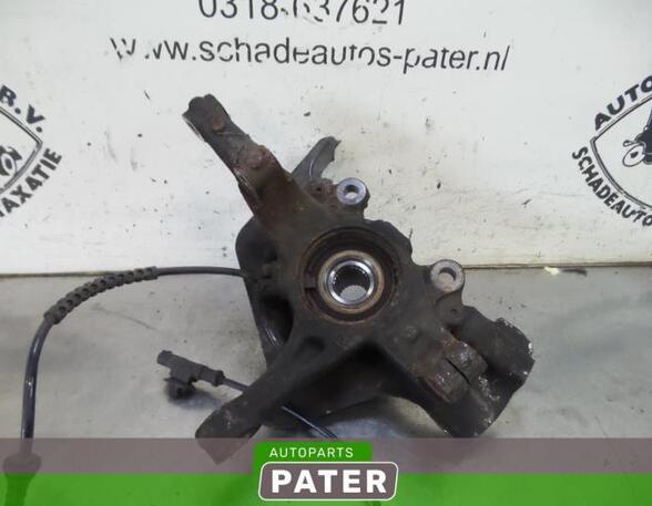 Stub Axle FIAT GRANDE PUNTO (199_), FIAT PUNTO (199_), FIAT PUNTO EVO (199_), ABARTH PUNTO (199_)