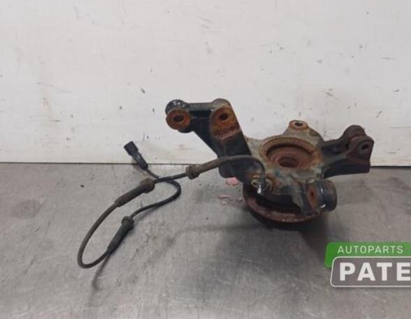 Stub Axle RENAULT ZOE (BFM_), RENAULT ZOE Hatchback Van (BFM_)