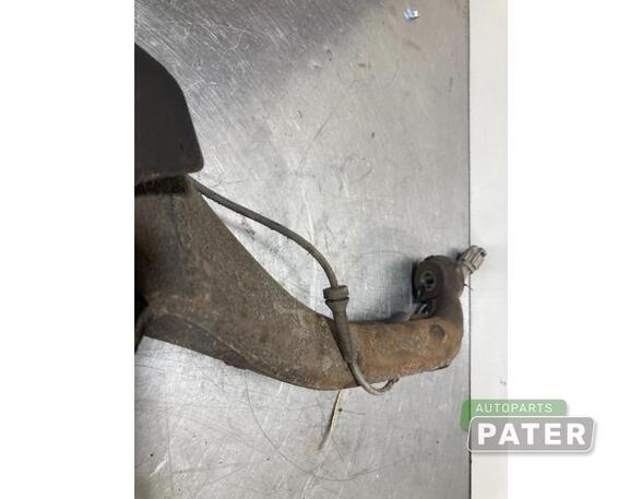 Stub Axle NISSAN PATHFINDER III (R51)