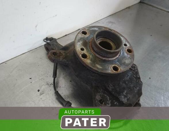 Stub Axle RENAULT VEL SATIS (BJ0_)