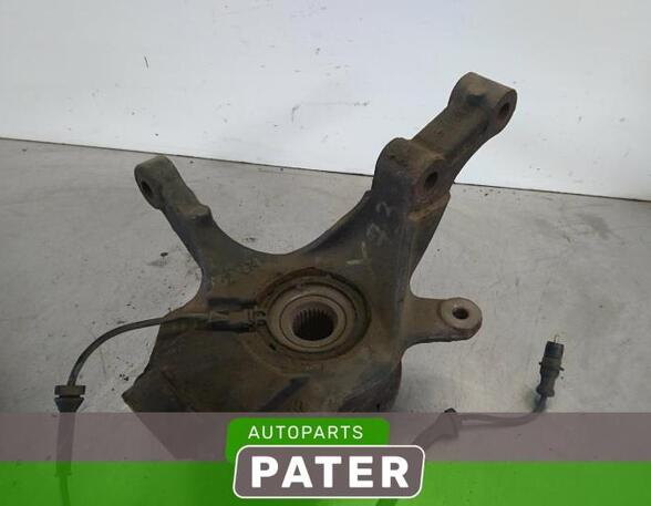 Stub Axle RENAULT VEL SATIS (BJ0_)