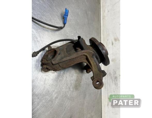 Stub Axle CITROËN C3 II (SC_), CITROËN DS3, DS DS 3 (SA_)