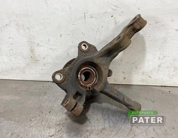 Stub Axle RENAULT KANGOO Express (FW0/1_), RENAULT KANGOO / GRAND KANGOO (KW0/1_)