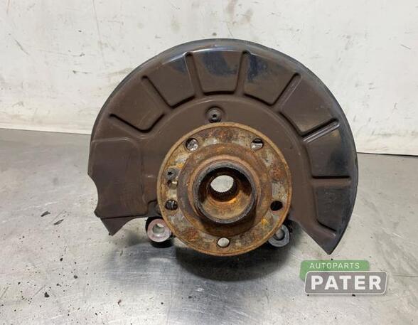 Stub Axle VW PASSAT ALLTRACK B7 (365), VW PASSAT B7 Variant (365)