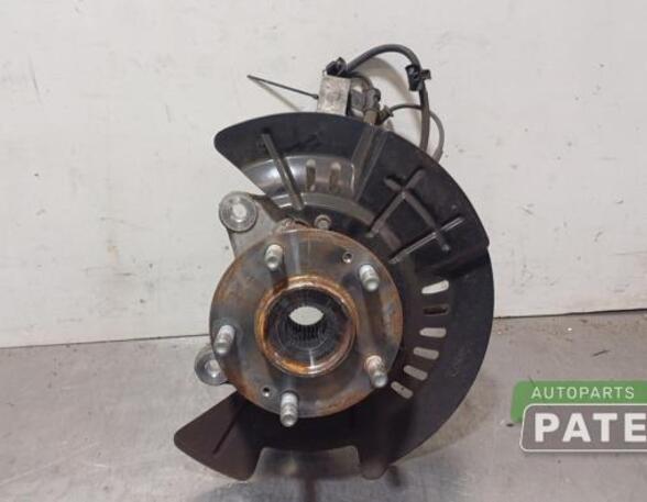 Stub Axle KIA NIRO I (DE)