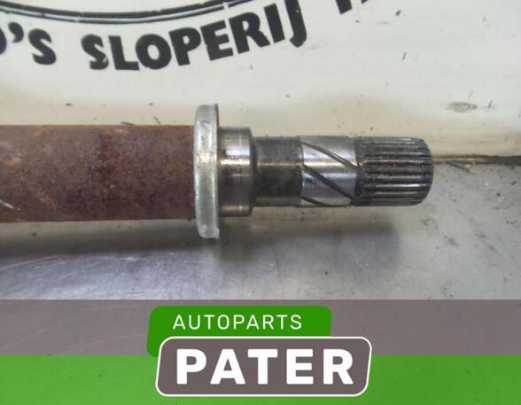 Drive Shaft RENAULT CLIO III (BR0/1, CR0/1), RENAULT CLIO IV (BH_)