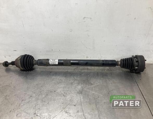 Drive Shaft VW EOS (1F7, 1F8)