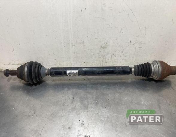 Drive Shaft VW GOLF PLUS (5M1, 521), VW GOLF PLUS Van (521)