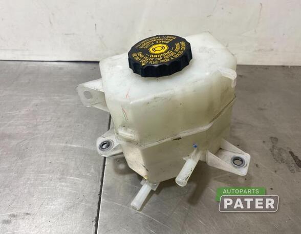 Brake Fluid Expansion Tank LEXUS NX (_Z1_)