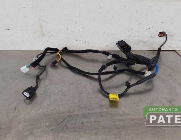 Wiring Harness KIA PICANTO (JA), KIA PICANTO (TA)