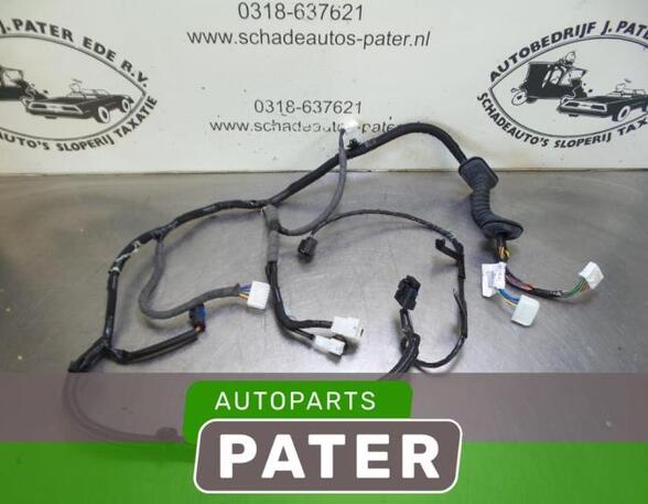 Wiring Harness NISSAN QASHQAI II SUV (J11, J11_)