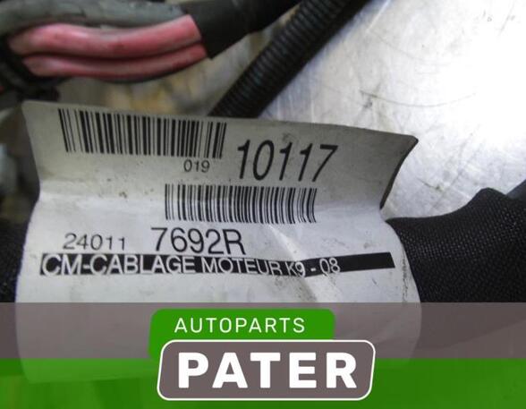 Wiring Harness RENAULT MEGANE III Grandtour (KZ0/1)