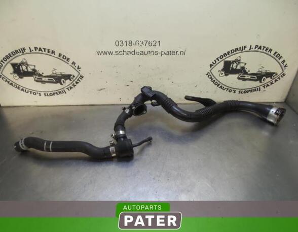 Wiring Harness RENAULT CLIO IV Grandtour (KH_)