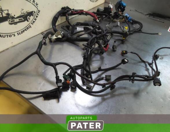 Wiring Harness RENAULT CLIO IV Grandtour (KH_), RENAULT CLIO III Grandtour (KR0/1_)