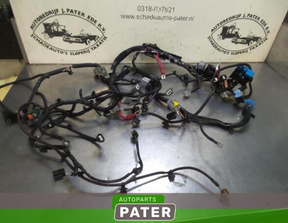 Wiring Harness RENAULT CLIO IV Grandtour (KH_), RENAULT CLIO III Grandtour (KR0/1_)