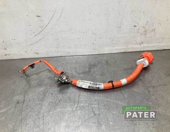 Wiring Harness NISSAN LEAF (ZE1)