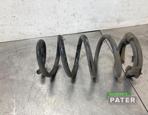 Coil Spring TESLA MODEL 3 (5YJ3)