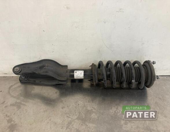 Suspension Strut TESLA MODEL 3 (5YJ3)