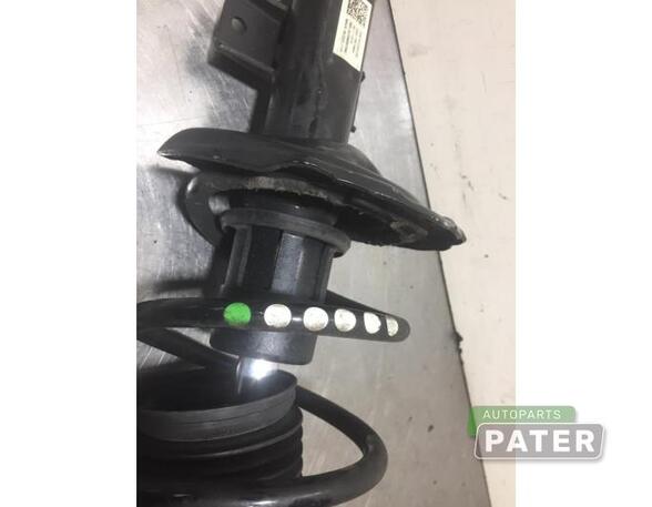 Suspension Strut SKODA SCALA (NW1)