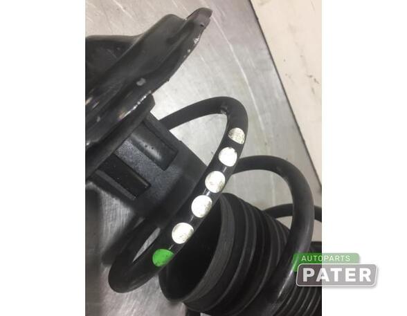 Suspension Strut SKODA SCALA (NW1)