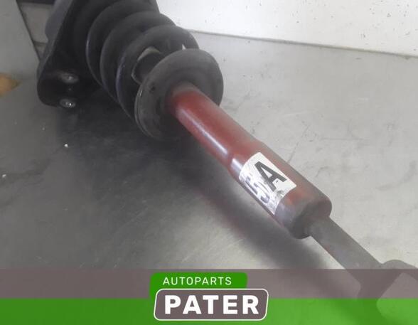 Suspension Strut AUDI A6 Avant (4F5, C6)