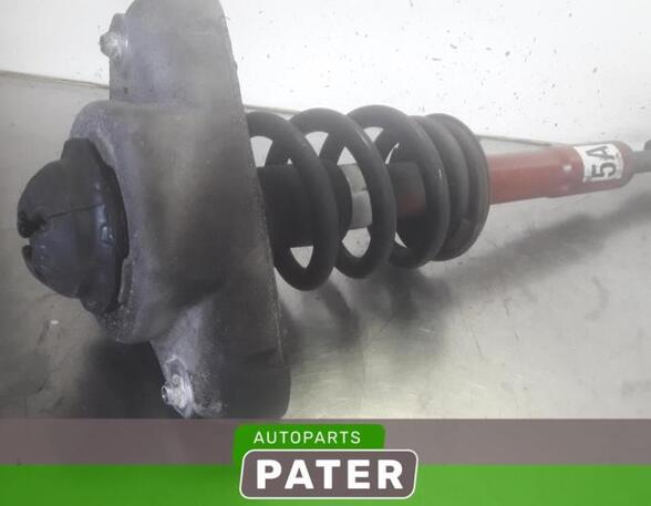 Suspension Strut AUDI A6 Avant (4F5, C6)