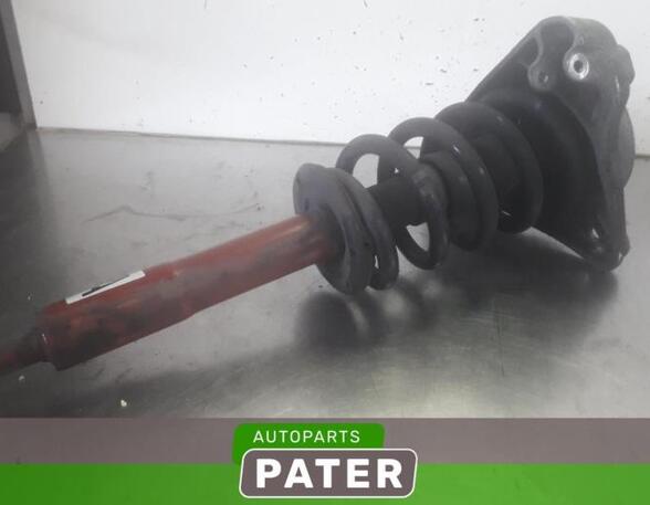 Suspension Strut AUDI A6 Avant (4F5, C6)