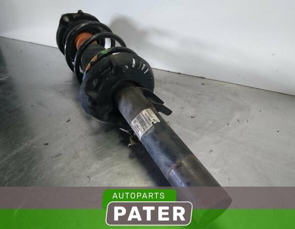 Suspension Strut VW GOLF V Variant (1K5), VW GOLF VI Variant (AJ5)