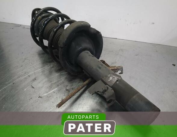 Suspension Strut FORD FOCUS C-MAX (DM2), FORD C-MAX (DM2)