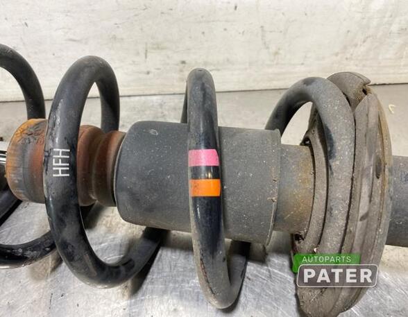 Suspension Strut AUDI A6 Avant (4G5, 4GD, C7)