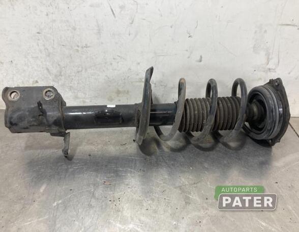 Suspension Strut NISSAN JUKE (F15)