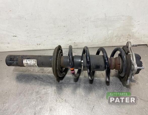 Suspension Strut AUDI A6 Avant (4G5, 4GD, C7)